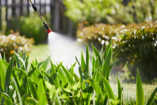 24/7 Emergency Rodent Control experts in Wayne City, IL