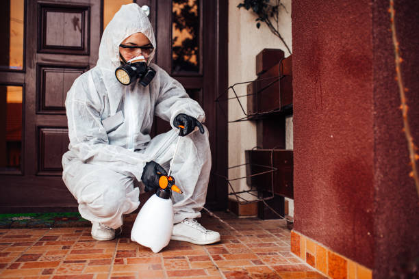 Reliable Rodent Control contractor in Wayne City, IL by Nex Pest Control