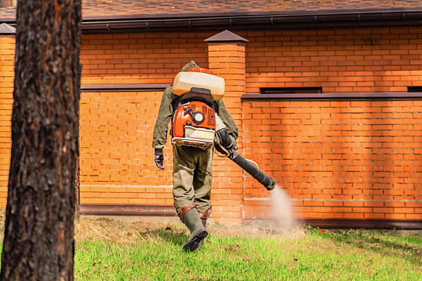 Top rated local Rodent Control specialists in Wayne City, IL